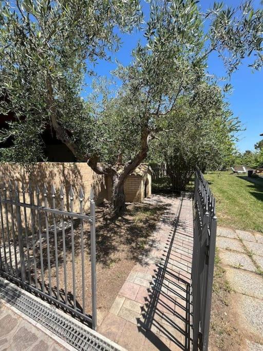 Villa Emma Torrevecchia Teatina Екстер'єр фото